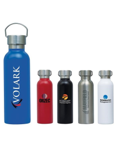 Promotional Ria 28 oz. Single Wall Stainless Steel Bottle