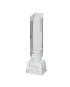 Promotional Hexagon Tower Award