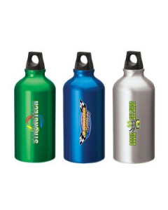 Promotional Sonia 16.9 oz. Flask with Twist Top
