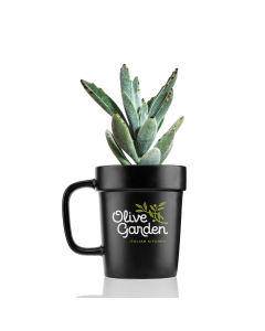 16 oz Planter Mug