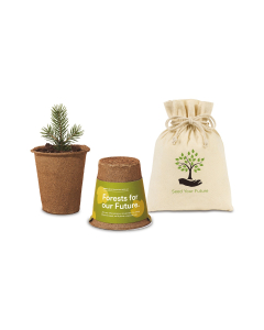 Branded Modern SproutÂ® One For One Tree Kits
