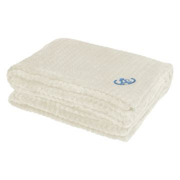 Custom Cozy Plush Blanket